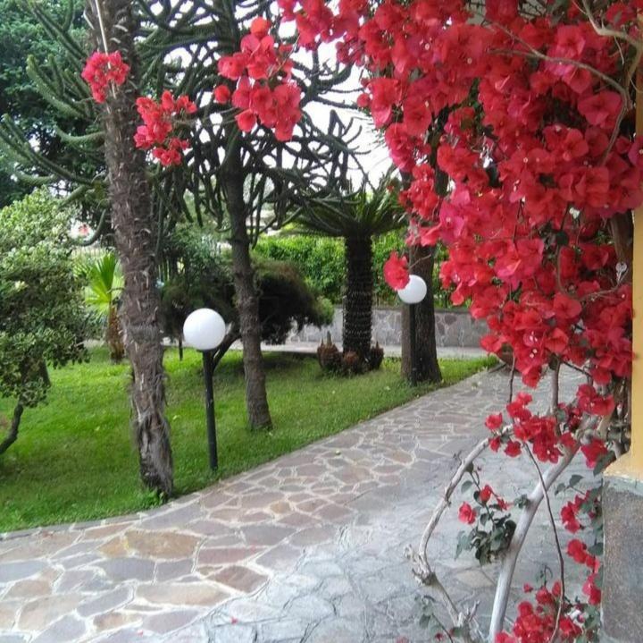 Bed and Breakfast Ospitalita Il Noce Brusciano Exterior foto